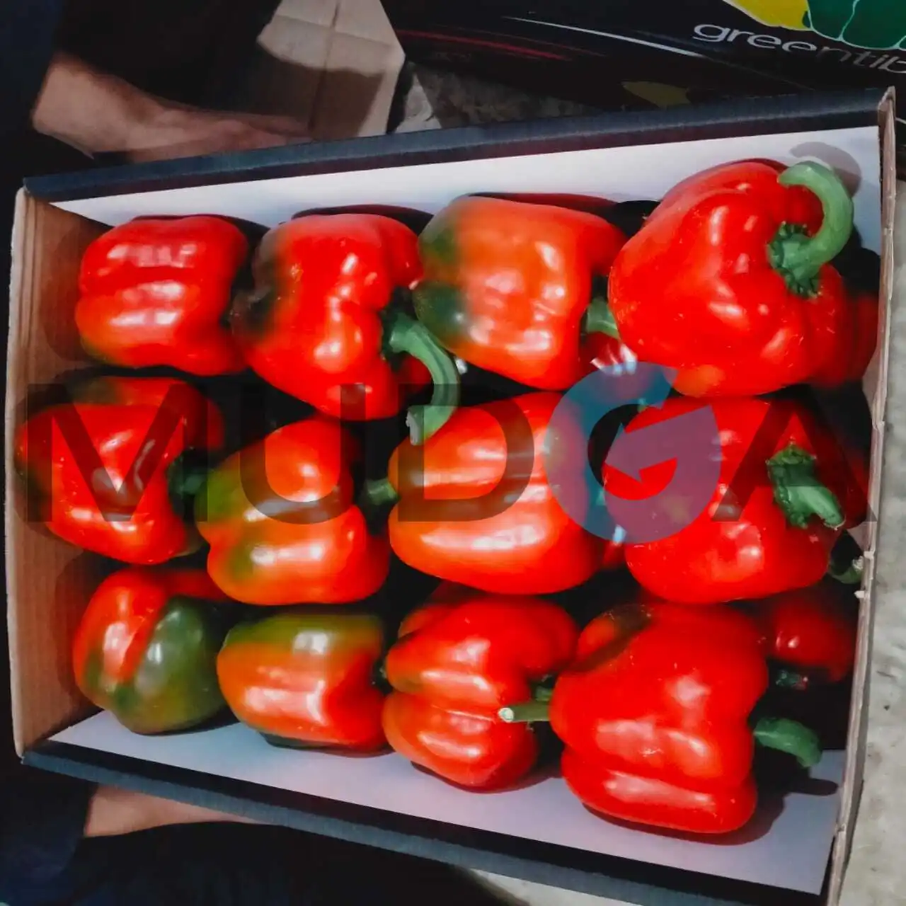 Свежий Египетский Перцовый пинцет, свежий пинцет, Египетский высококачественный свежий сладкий перец, дешевая цена, 100% натуральный