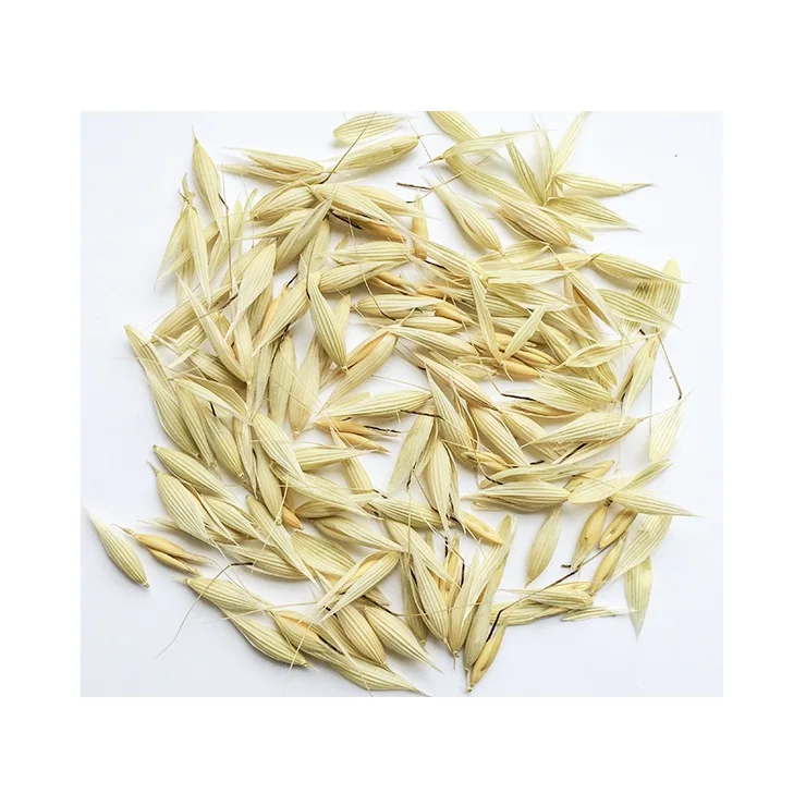 High Quality Oat Hulls For Sale At Low Price