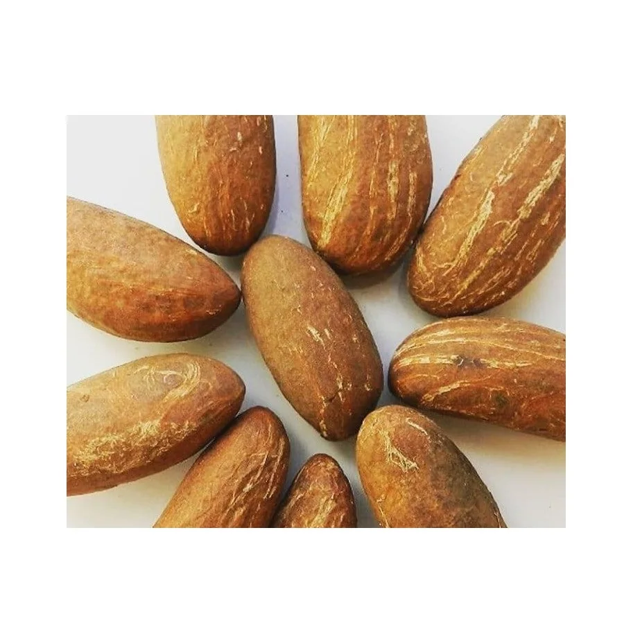 Finest Natural African Bitter Kola For Wholesale/cheap price