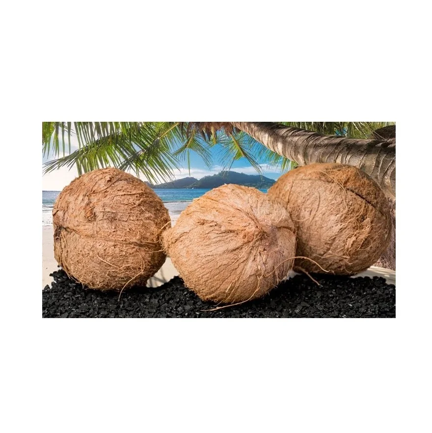 Wholesale Price Raw Coconut Shell Material Agriculture Waste Bulk Stock Available For Sale