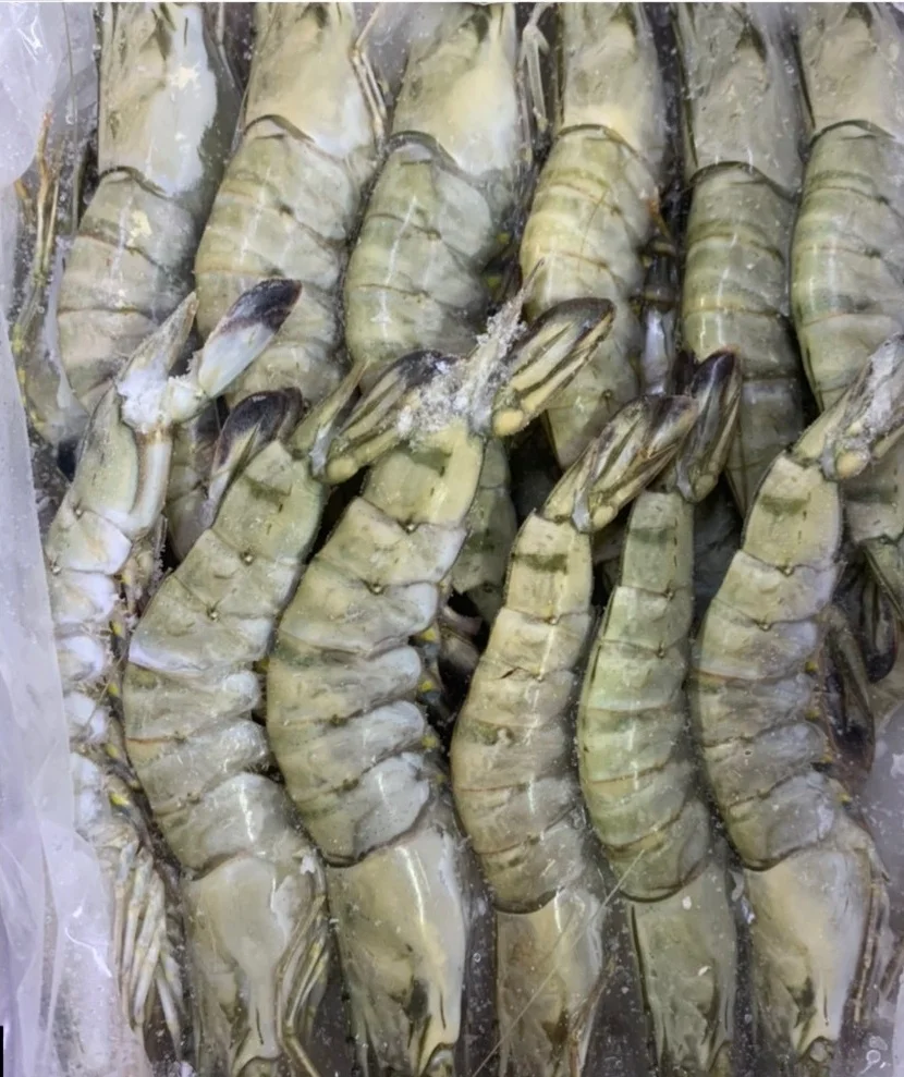 Черная Тигровая креветка HOSO SEMI IQF замороженная свежая головка на оболочке вес нетто отсчет индивидуальная упаковка для продажи