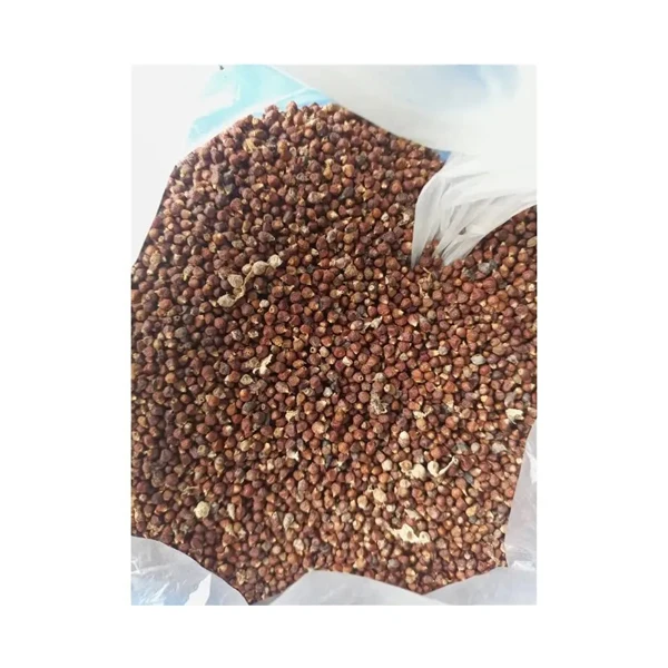 Premium Grade Excellent Quality Single Spices & Herbs Healthy Natural Taste Alligator Pepper Seed from Nigerian Origin Supplier