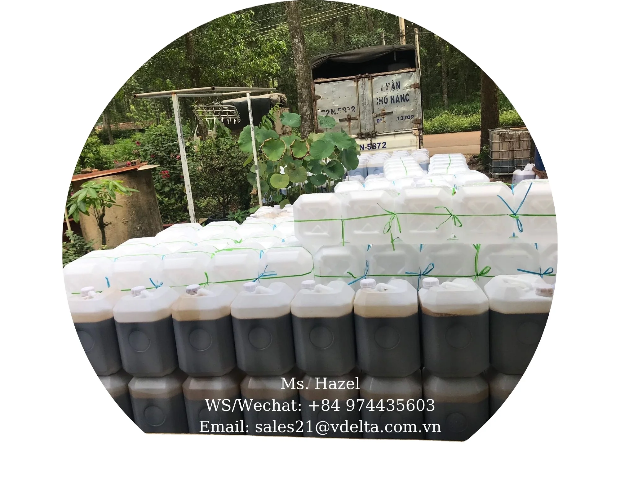 Чистая жидкая Патока сахарного тростника/сырая сироп тростниковая сахарная во Вьетнаме/г-н. Лео + 84 965 467 267