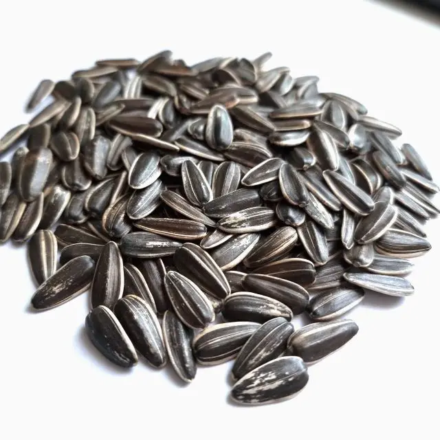 Cheap Price Good Quality Sunflower Seeds Sell Sunflower Seeds Sunflower Seeds Roster BREVIS 361 363 601 Jumbo