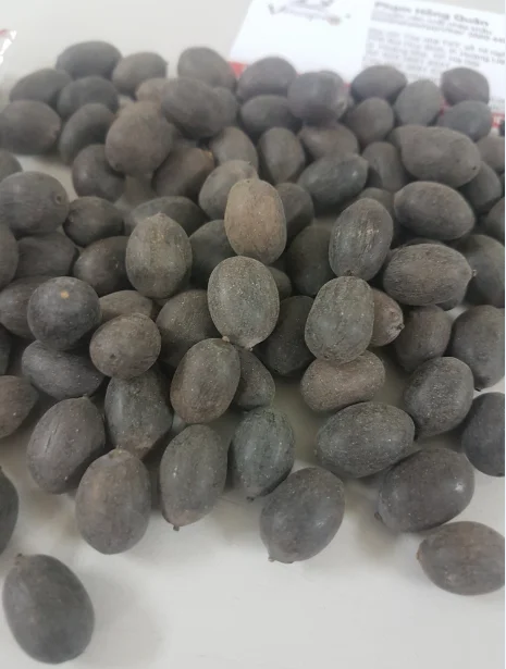 VINAPRO GROUP предлагает семена лотоса премиум-класса 100% натуральные из северной части Вьетнама.