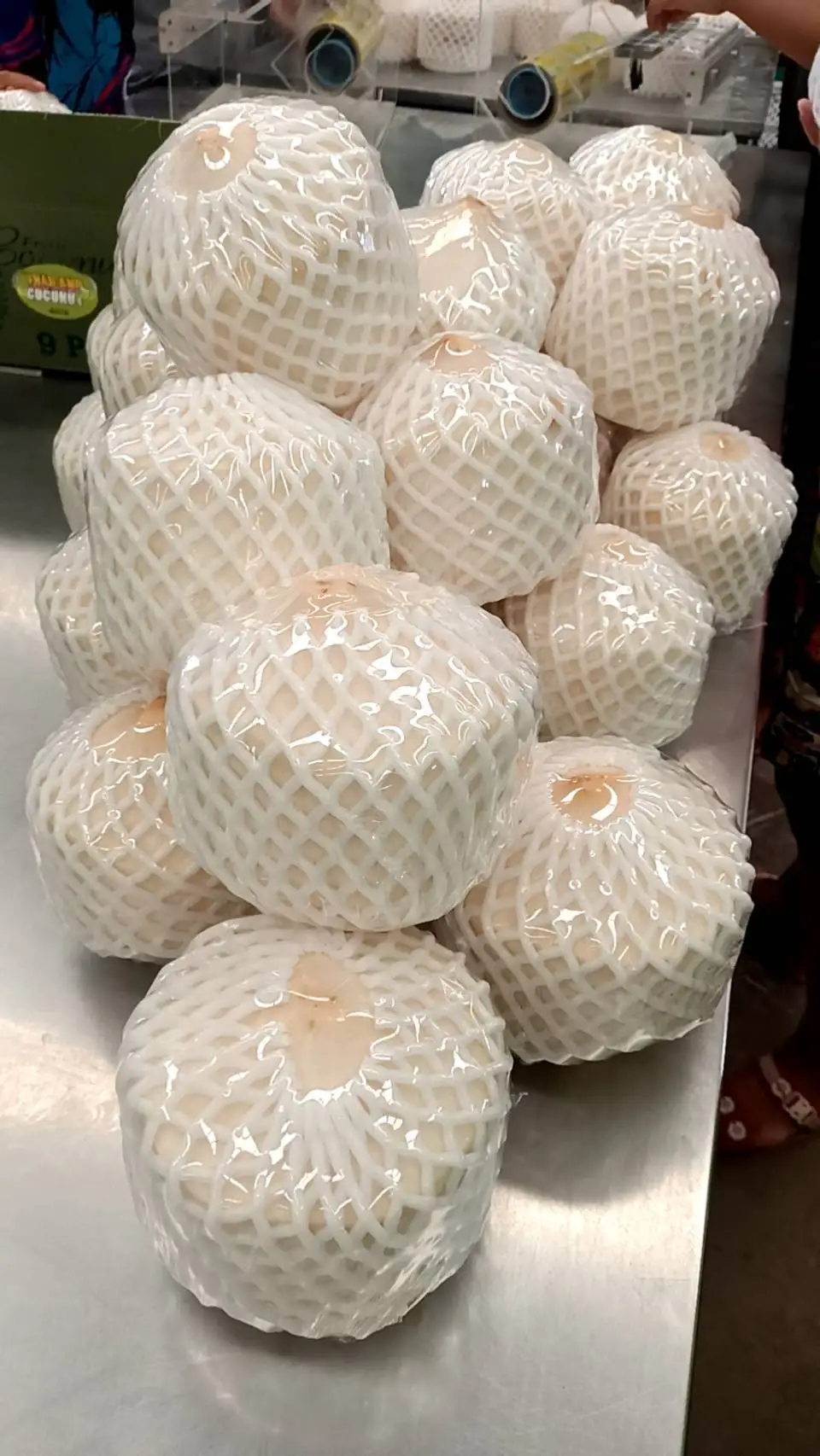 Top Quality Young Fresh Coconut Export From Thailand