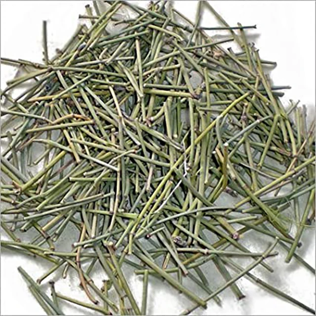 Ephedra ~ Ephedra Green Sticks Ephedra Sinica Ma Haung