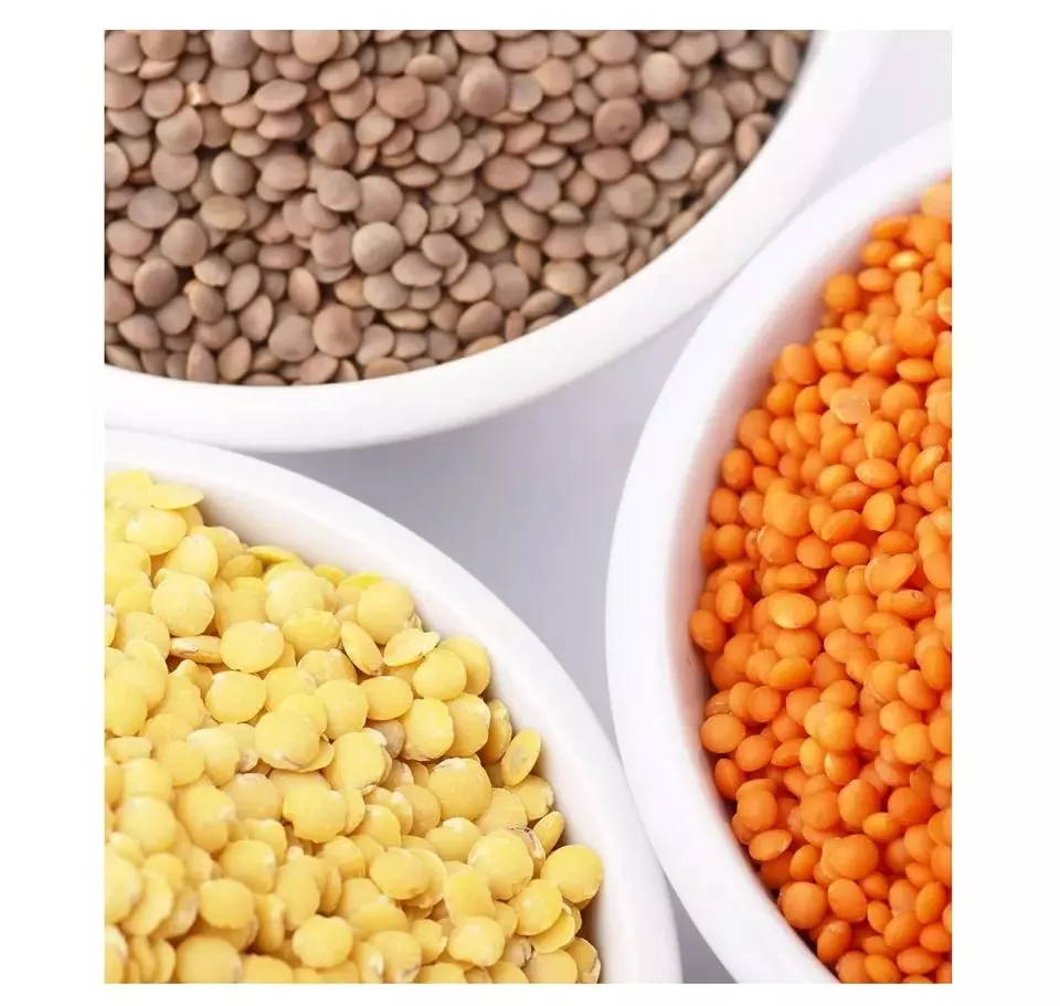 Wholesale High Quality Organic Red split Lentils With Out Husk Lentils(Red, Green, black and white)