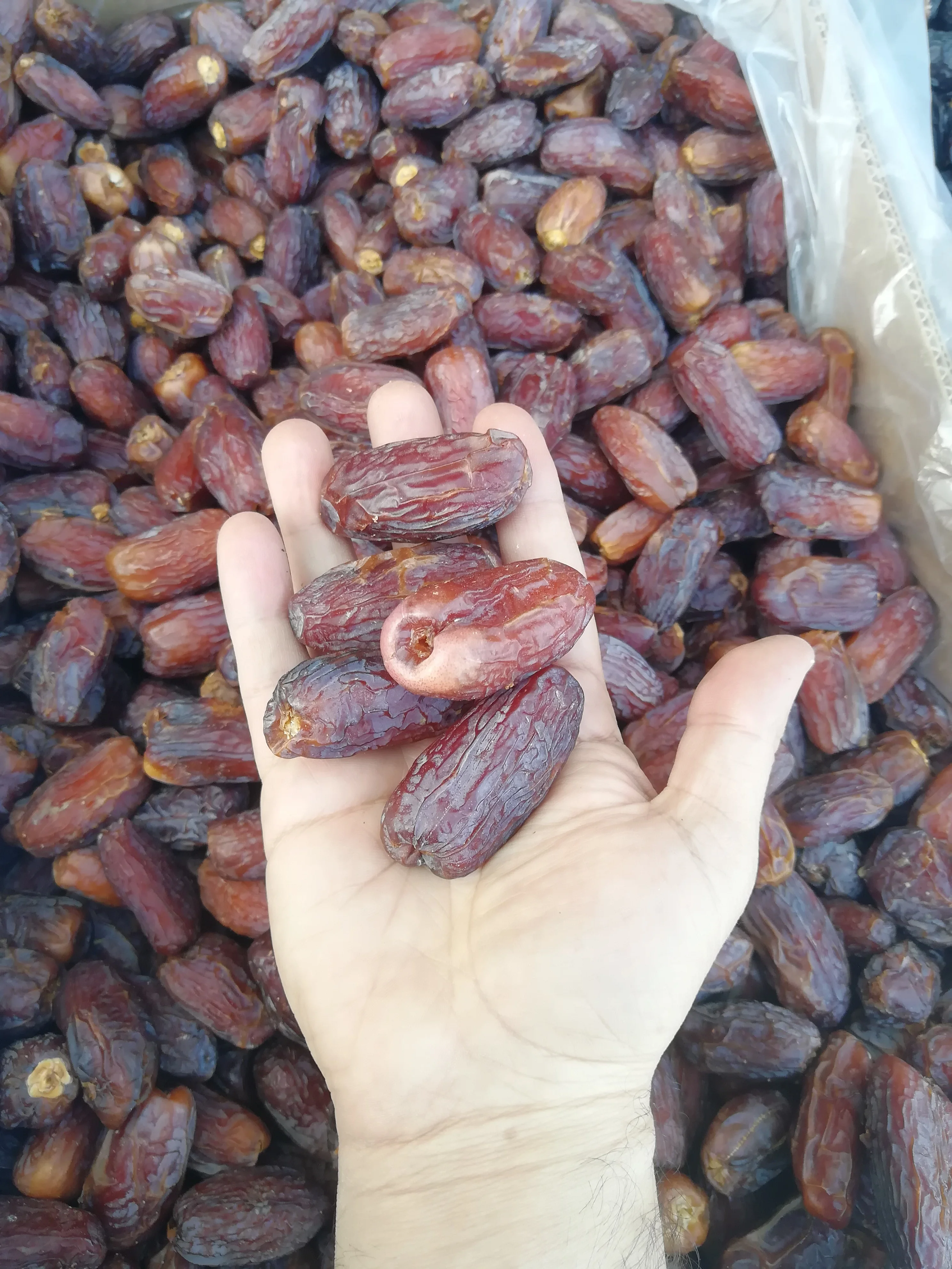 Medjoul Dates| 100 % Almadina Dates luxury grade from Saudi Arabia new harvest 2022 leading supplier of dates