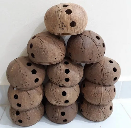 FREE LOGO FOR COCONUT SHELL FLOWER POT/ COCONUT SHELL POT FOR FLOWER PLANTING OR GARDENING FROM VIET NAM