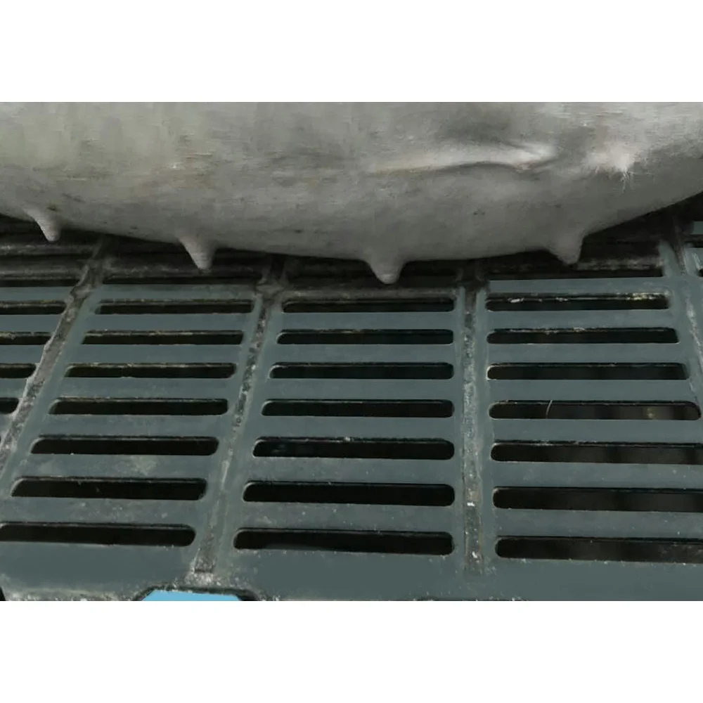 Высококачественный ковкий чугунный пол для свиней производитель оборудования