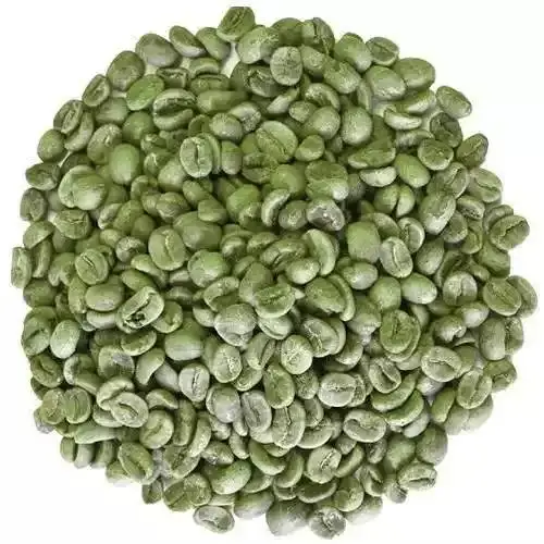 Green Bean Commercial Robusta Aeroco Coffee German Factory Good Price