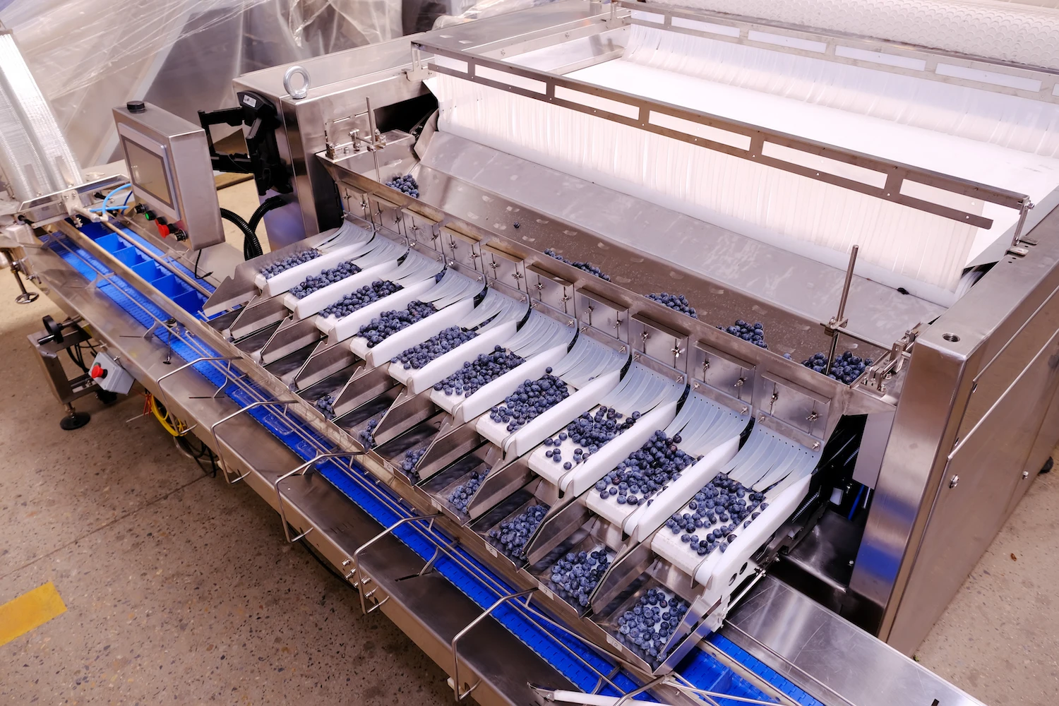 Smart Automatic Blueberry Raspberry Cherry Tomato Berry Packaging Scale Packing Machine smart scale