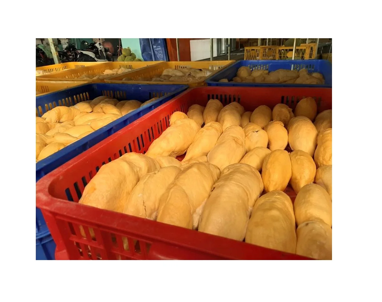 Замороженный дуриан Премиум Durian 99GD высокое качество
