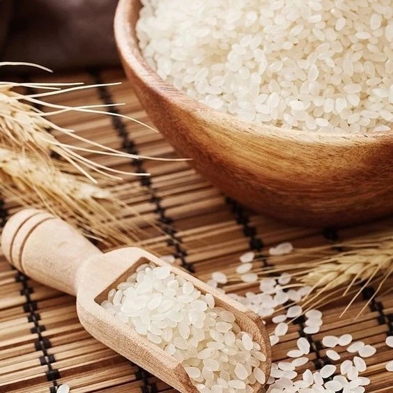 WHOLESALE / FREE SAMPLE Japonica Rice / Round Rice / Short Grain - Juli WA0084902431106