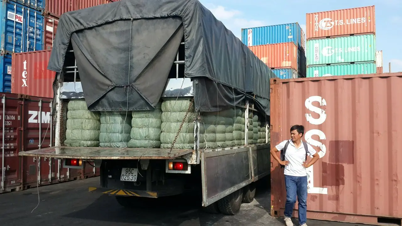 Желе из черной травы Вьетнам