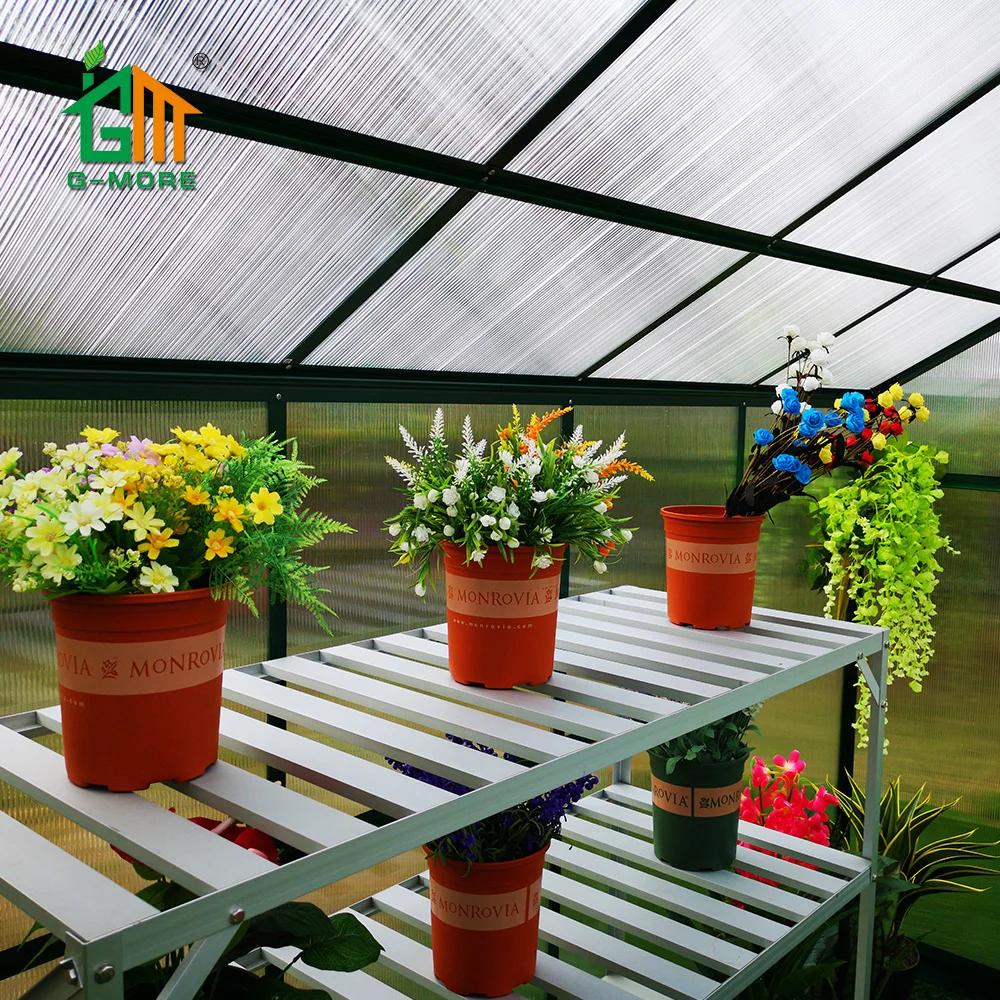 G-MORE Lite Series 8 X 6 FT PC Greenhouse Aluminum Greenhouse
