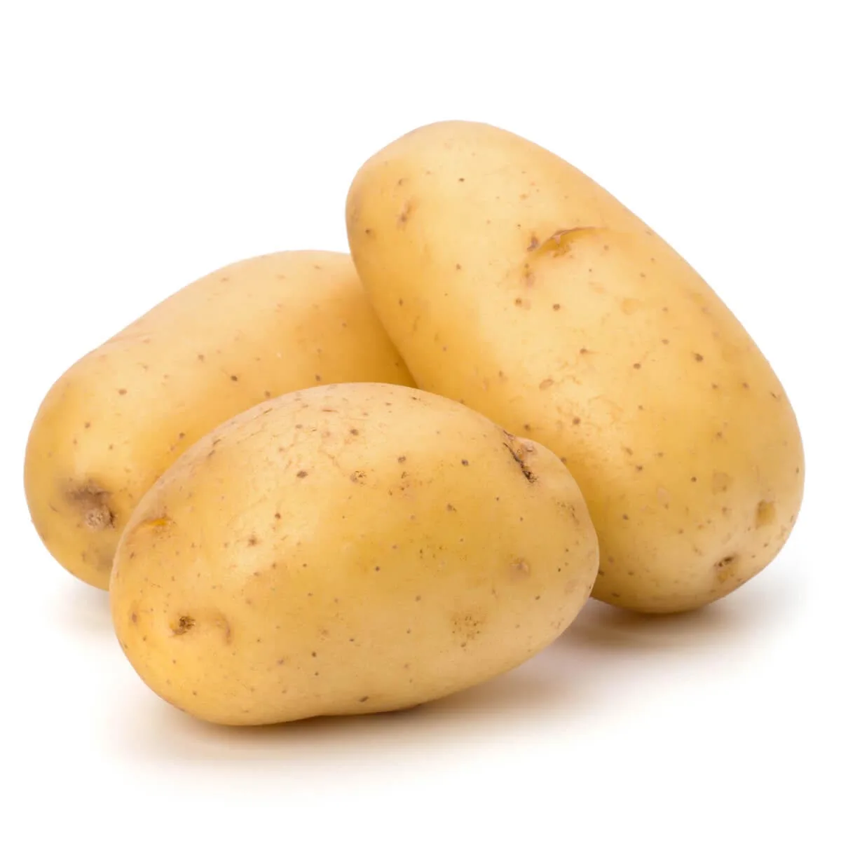 quality New Harvest Fresh Potatoes Exporters ready