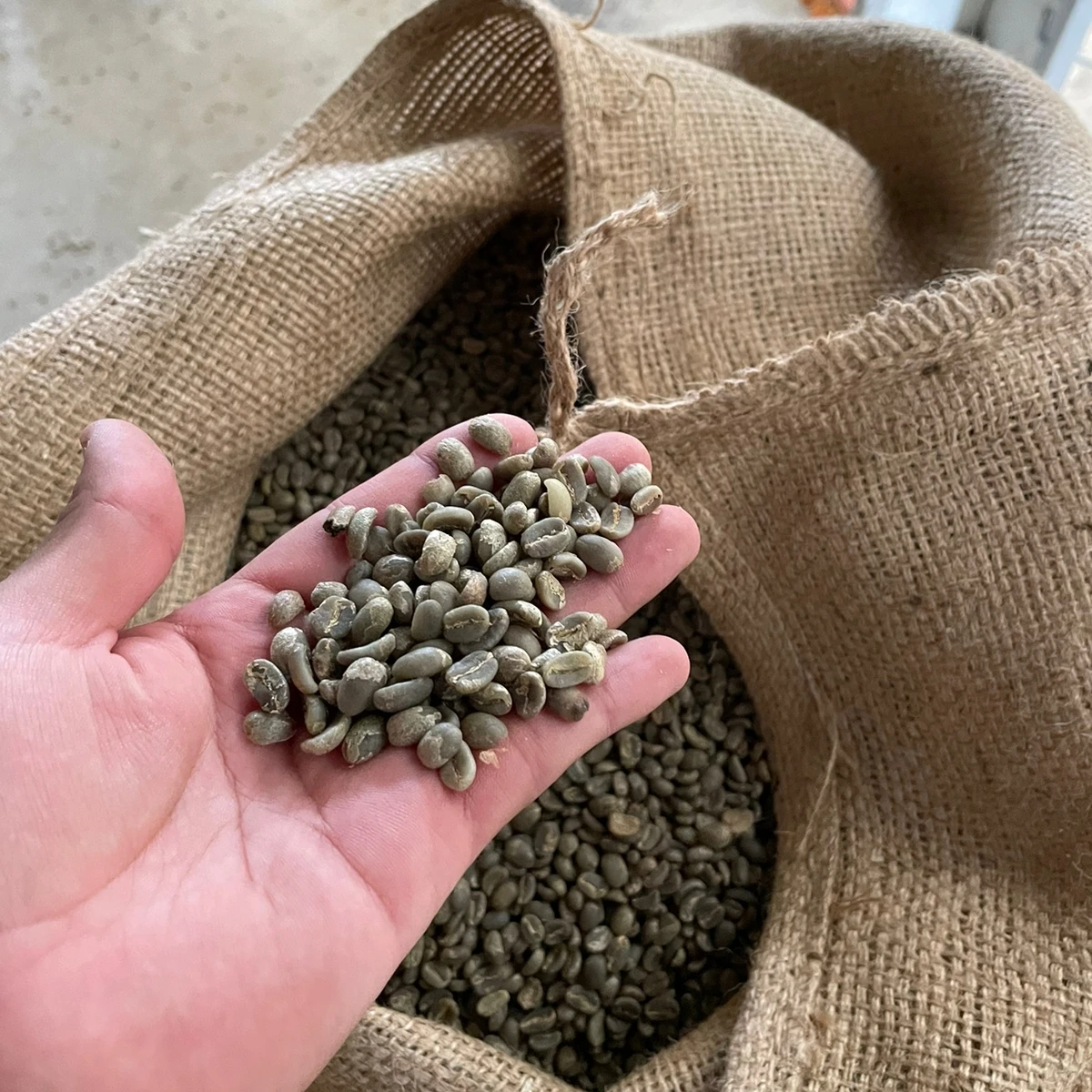 Органический зеленый