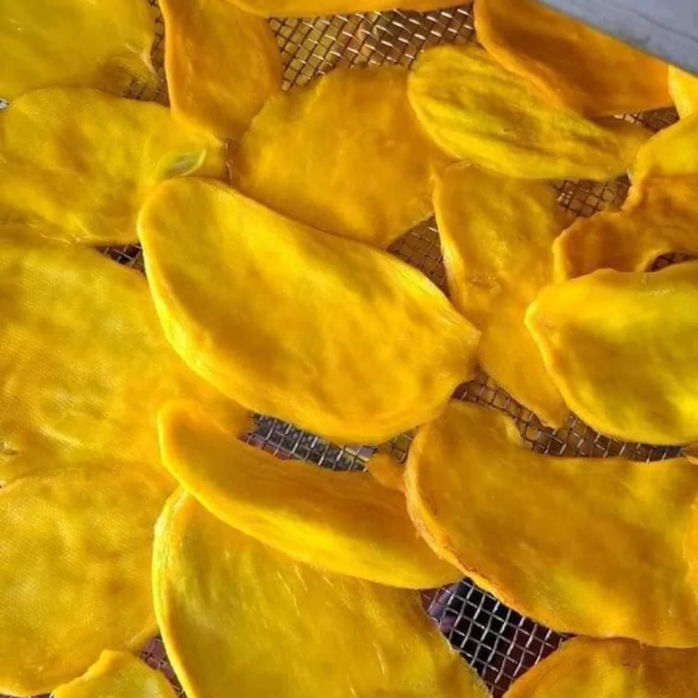 Wholesale DRY MANGO USED IMMEDIATELY used immediately dried ripe mango no additives with sugar