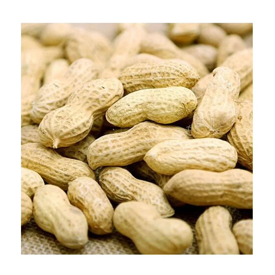 Great quality high protein raw peanut kernels peanut seeds price from Uzbekistan manufacturer wholesale for export