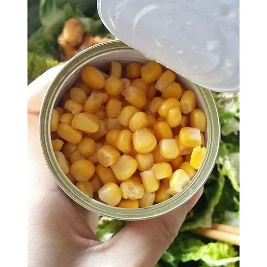 Best Price Freshly Packed Canned Whole Kernel Sweet Corn for Convenient Meal Preparation