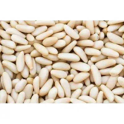 Wholesale Raw Pine Nuts Dried Fruit Kernel