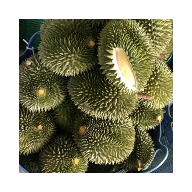 Горячие продажи свежих тропических фруктов высокого качества по конкурентоспособной цене Оптовые на экспорт