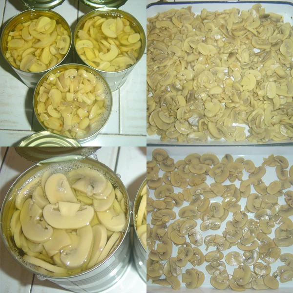 Hot sale Canned mushroom