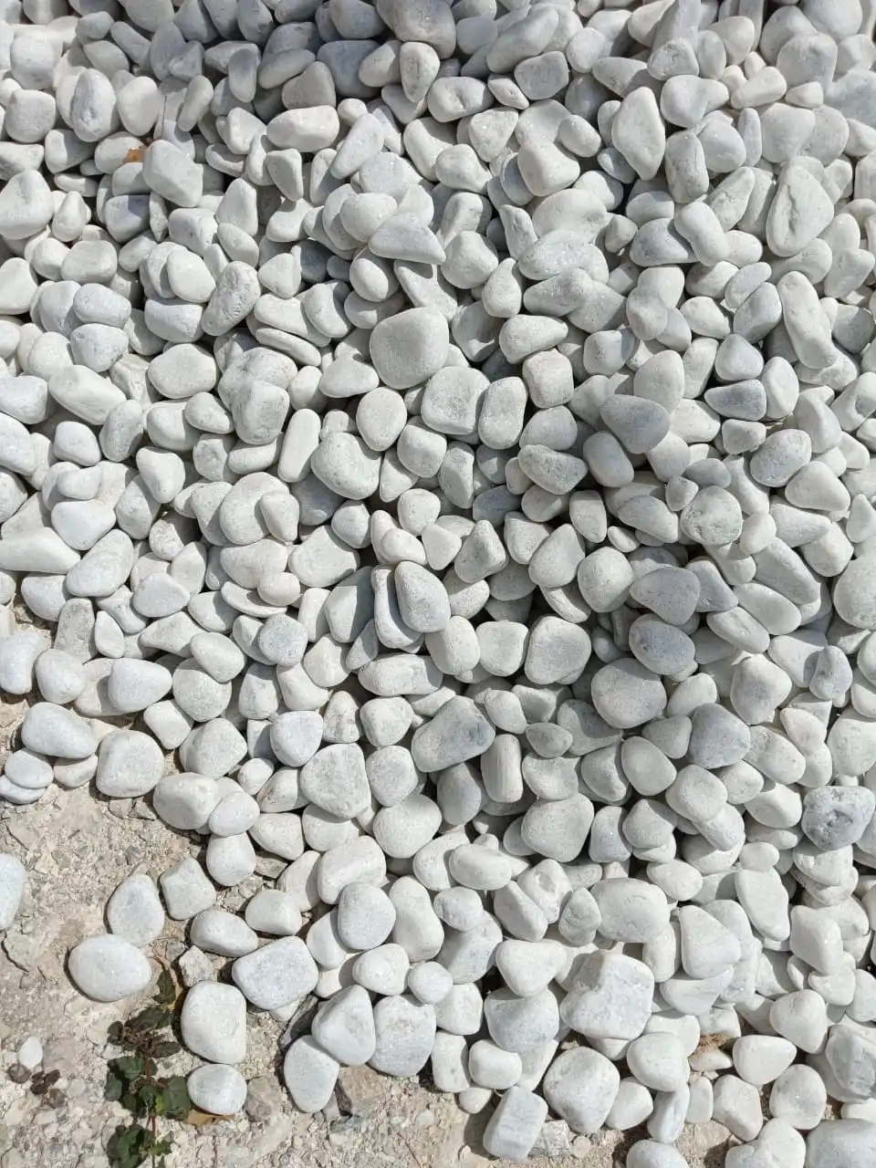 Bestselling Popular Pick Marble Pebbles Natural Stone for Home Office and Garden Decoration Open for Export Sales