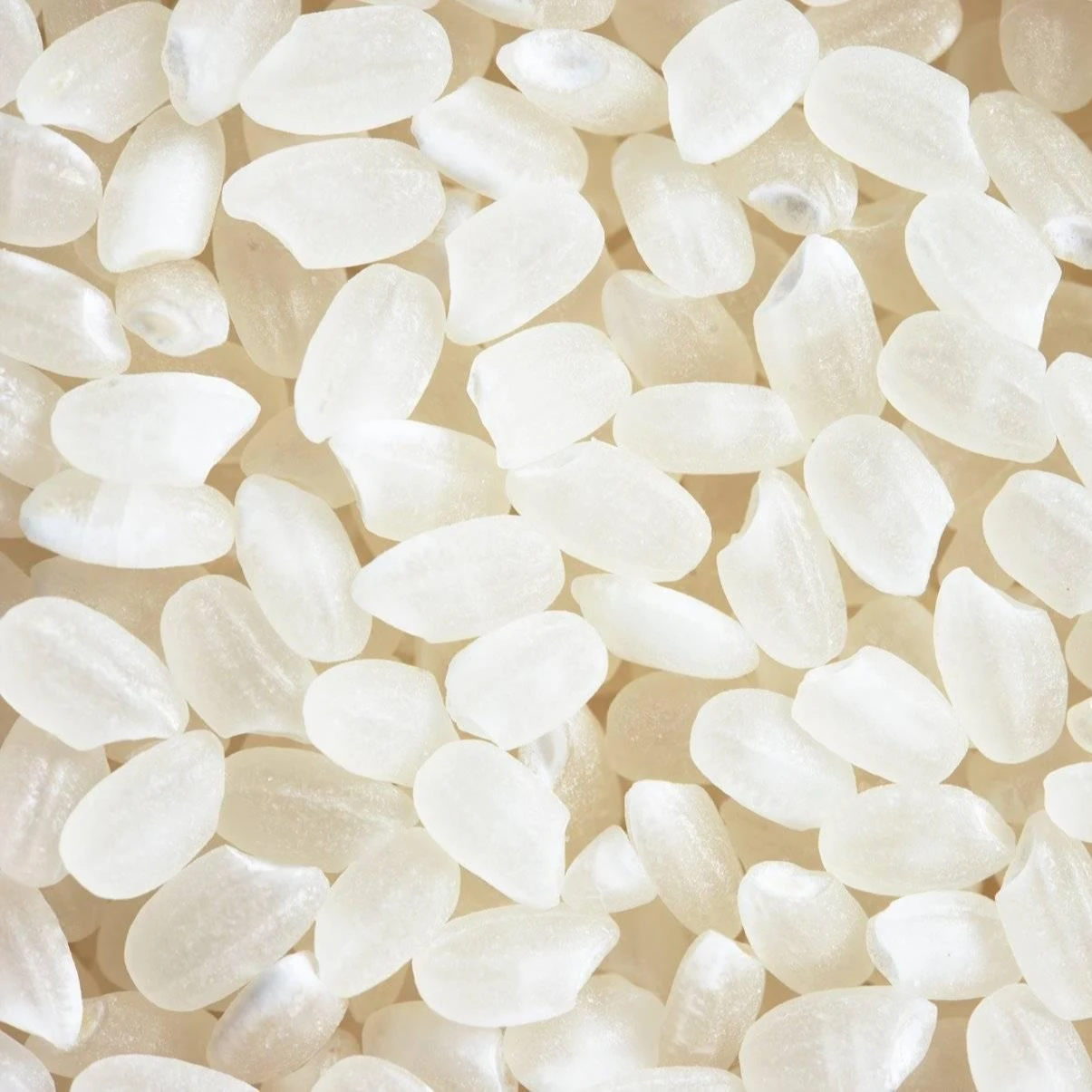 Самая дешевая вьетнамская японская рисовая 5% сломанная/лучшее качество // mr Kris whatsapp 84 982