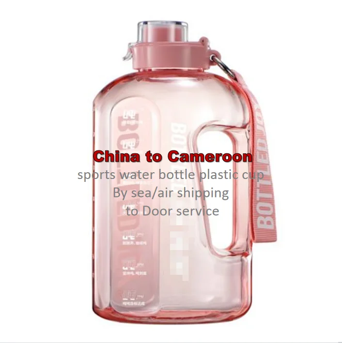 China to Cameroon sports water bottle plastic cup container Drop-shipping DDP by sea air consolidation service Door to Door
