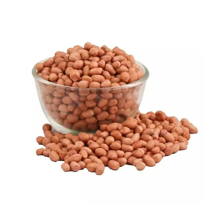 High Quality Raw Peanuts Kernel And Raw Peanut In Shell For Sa