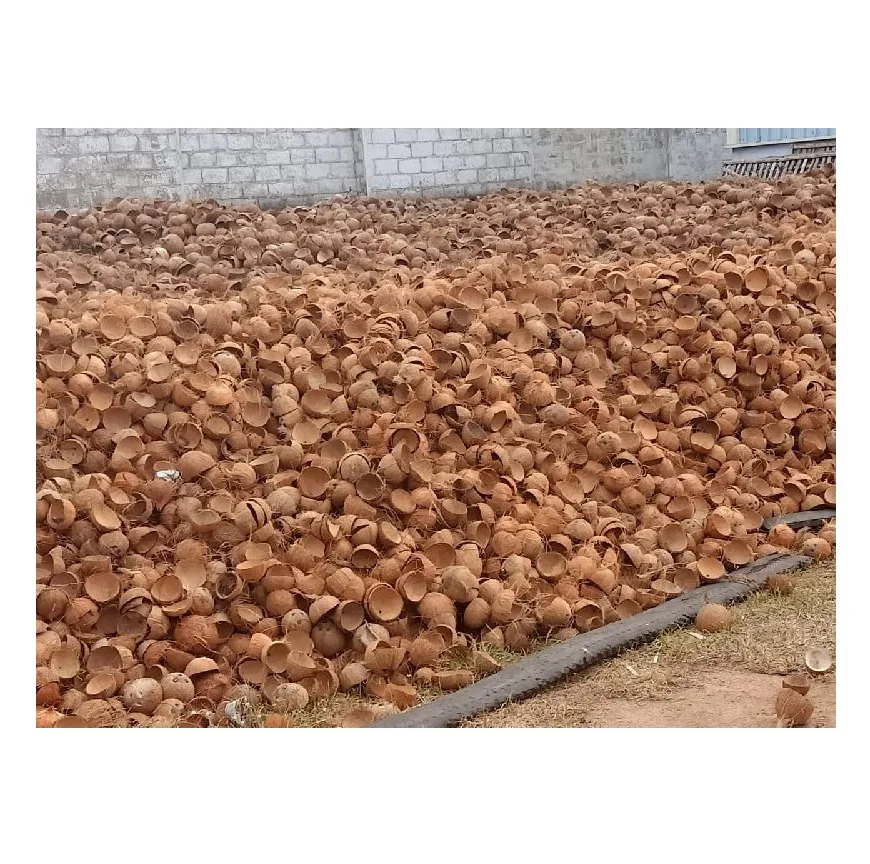 Wholesale Price Raw Coconut Shell Material Agriculture Waste Bulk Stock Available For Sale