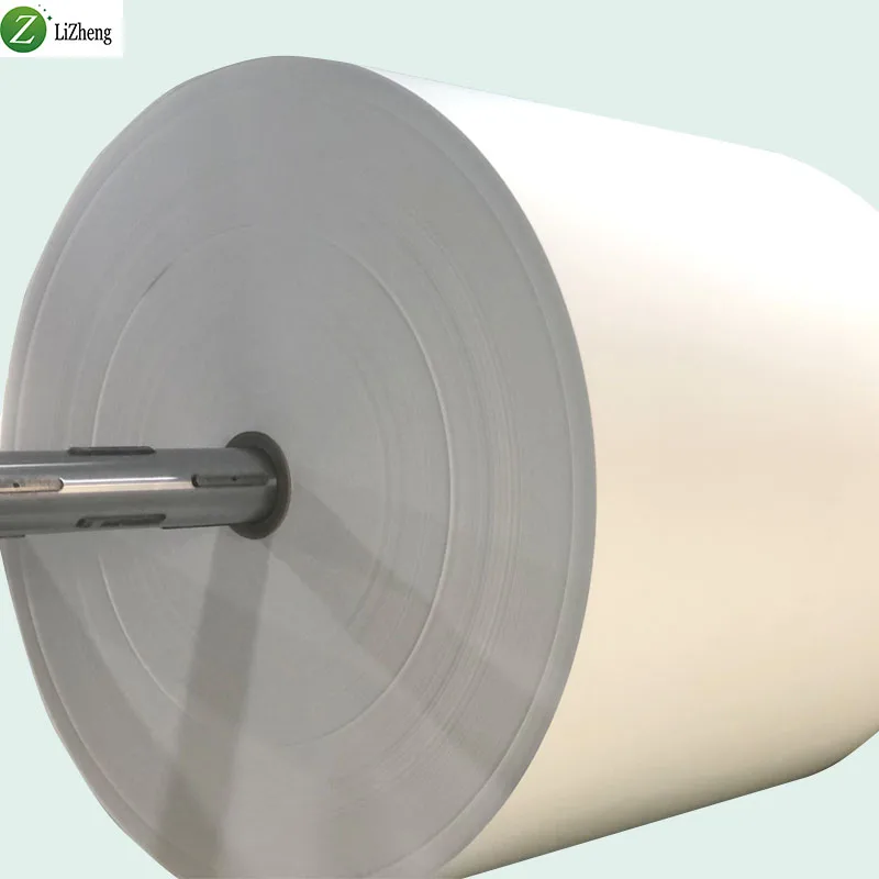 Лижэн печатный материал Pp пленка эко растворитель плакат синтетическая бумага в рулоне