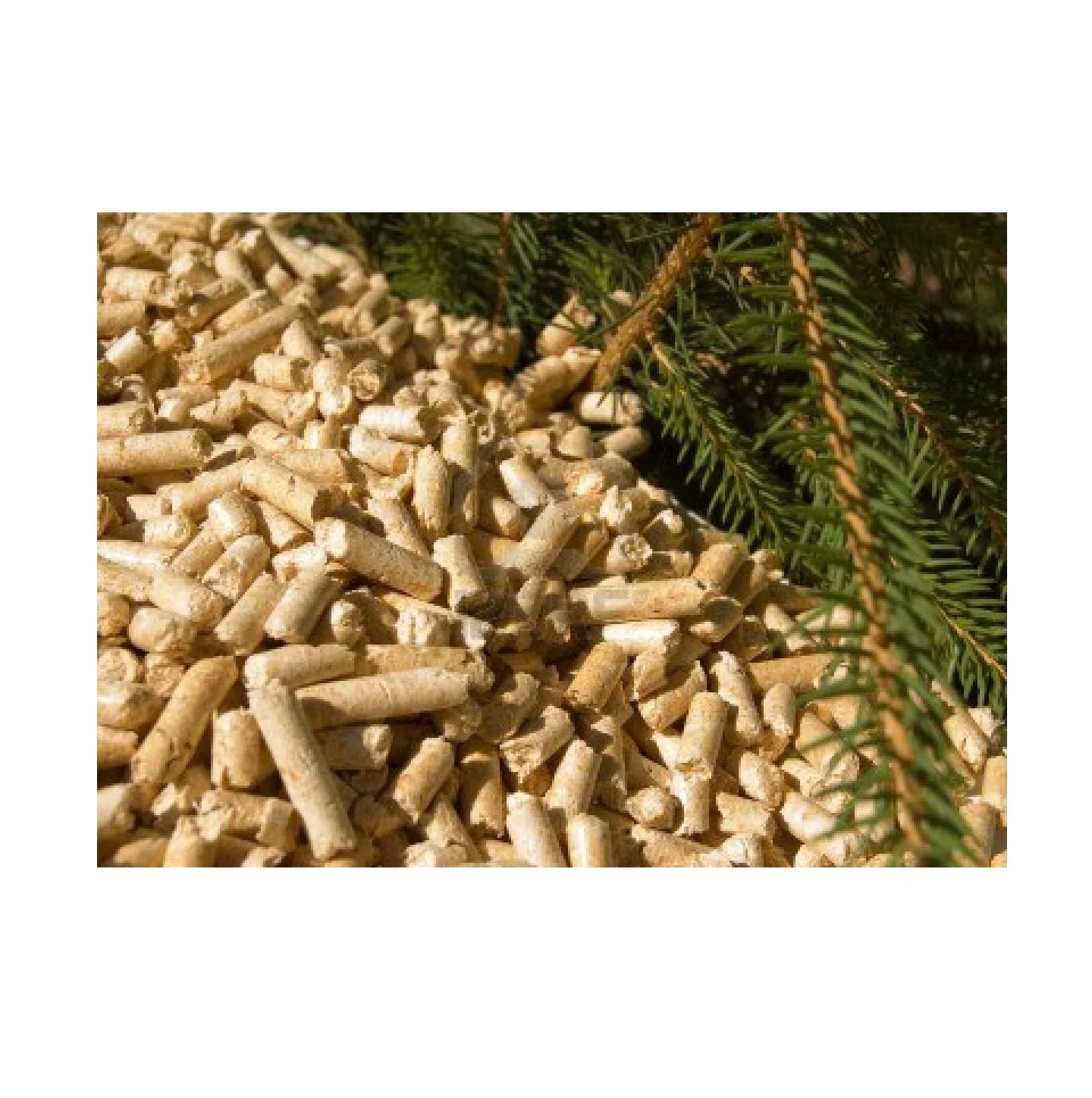 High Quality pine wood pellets en plus a1 /Wholesales Wood Pellets 6mm for sale with Best Price