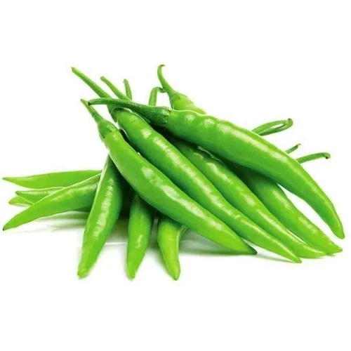 Best Quality Hot Sale Price G4 Green Fresh Chilli /Chilli Pepper