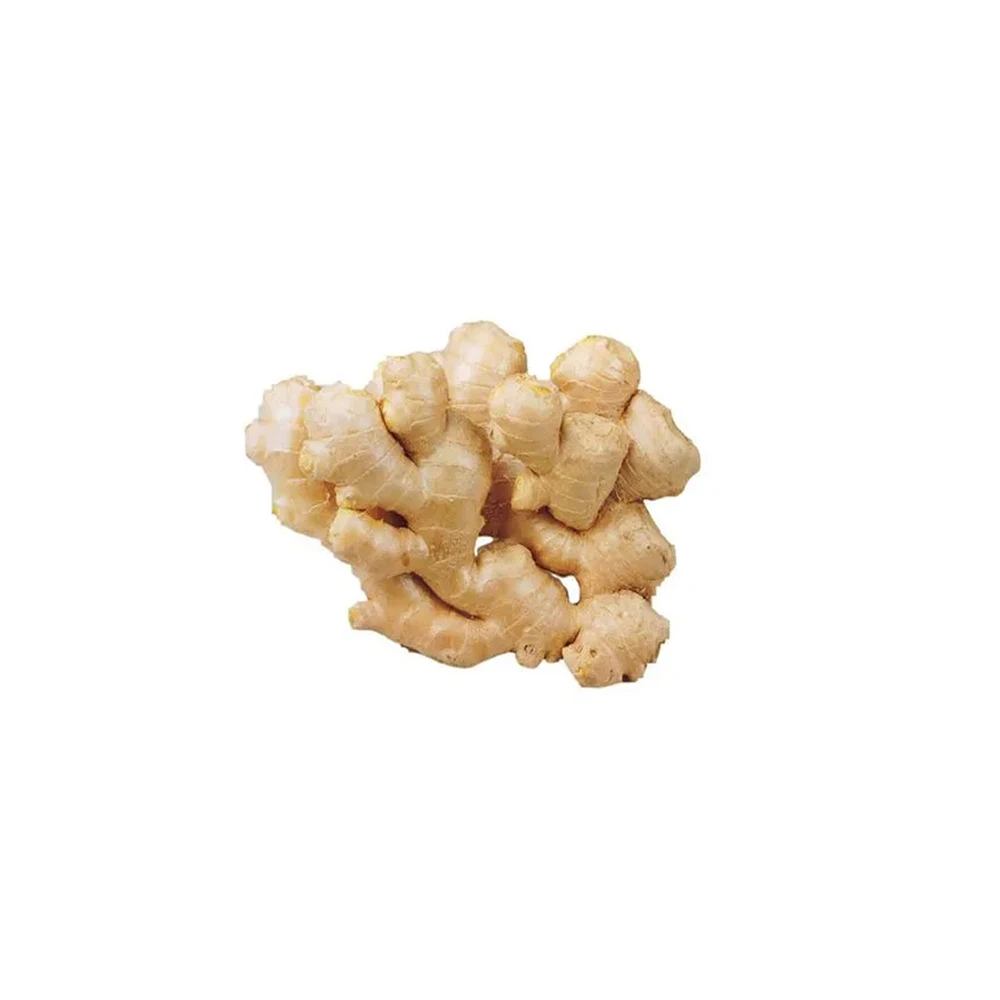 Good Quality Ginger Available At Indian Manufacturer