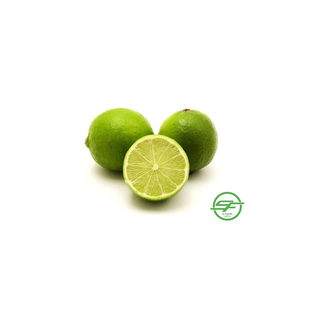 High quality citrus fruits Green Count Sweet Lemon Vietnam Lemons Natural Fresh Lemon For Export In Bulk