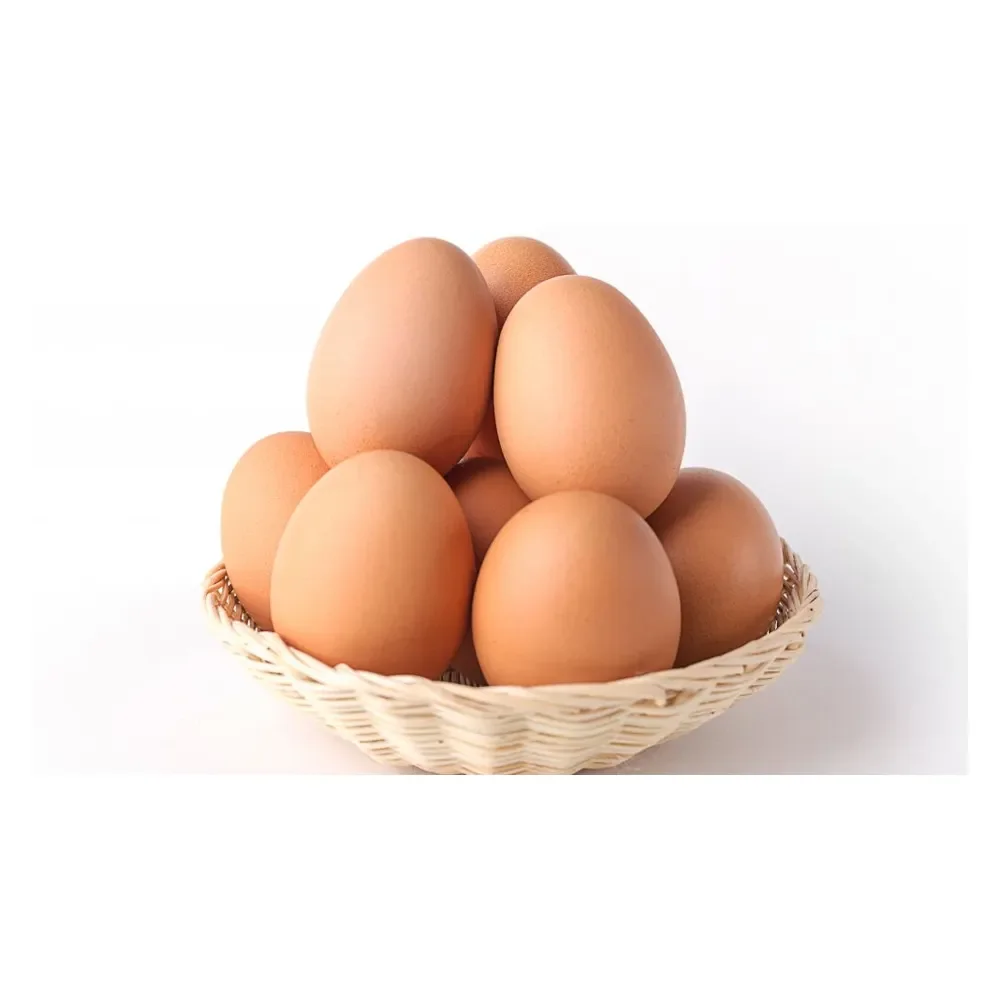 High Quality Fresh Table Eggs and Non - Fertile Eggs Cheap Price With Best Custom Packing products