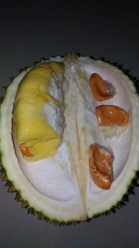 FROZEN RI6 / MONTHONG DURIAN  - VIETNAM ORIGIN - Ms. Hana +84 395690184 - CAREM TROPICAL BRAND