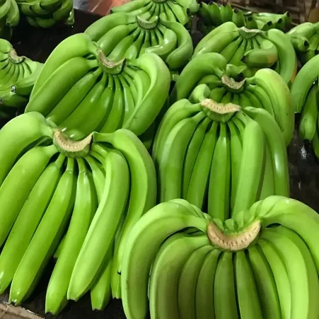 Fresh Cavendish Banana Banana Daun Pisang Monk Fruit Fresh Kiwi Fruit