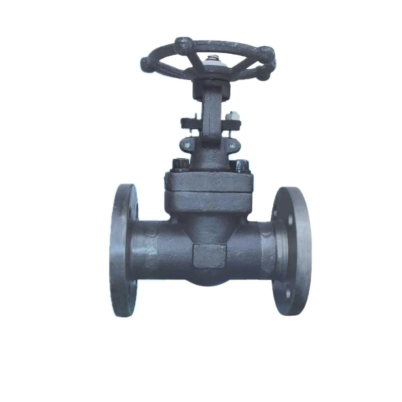 API 600/602 Forged Gate Valve, 150lb-900lb, High Mpa, SS304/316, Wenzhou, 3-Year Warranty