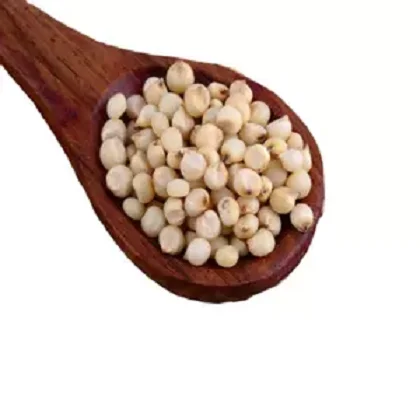 Organic white sorghum seeds non gmo high grade good quality healthy food raw bulk grains Ready to ship