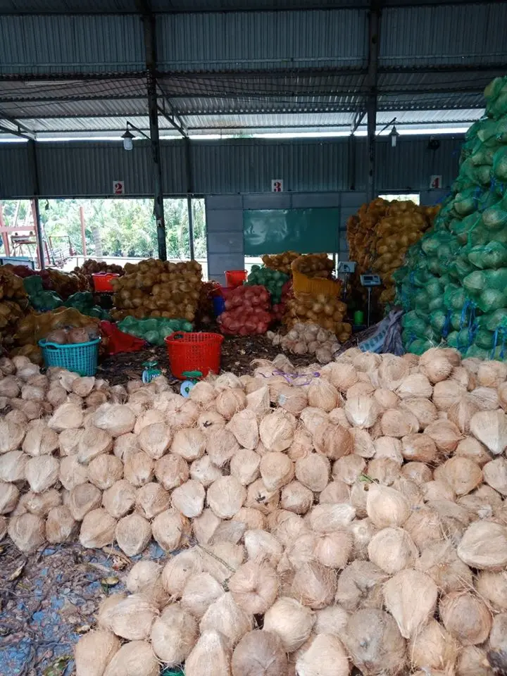 Big Supply Competitive Price Dry Brown Semi Husked Coconut With Tight Export Standard From Vietnam Best Seller