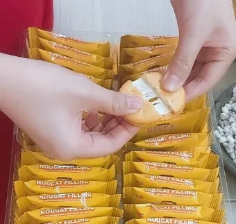 Premium quality Nougat Filling Onion Cream Cracker 400g