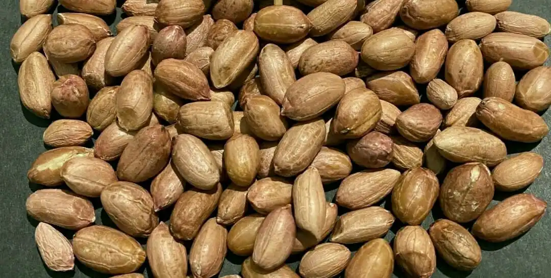 Top quality New crop Bold Peanut 40/50 50/60 70/80 for export best quality and customize packaging