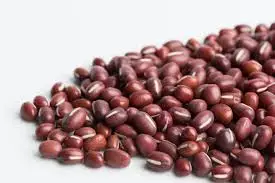 High Quality Dried Adzuki Beans / Azuki Beans