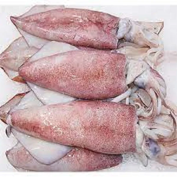Качественная сертифицированная свежая продукция тентесламы замороженный весь гигантский кальмар по оптовой цене