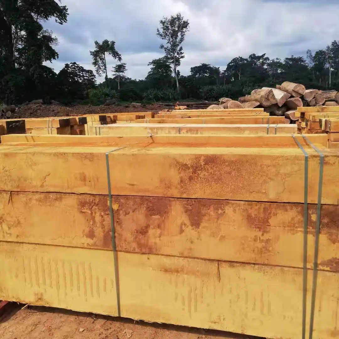 Bilinga sawn timber from Gabon, High quality with low price